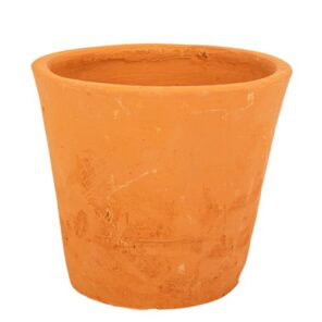Surubaya pot