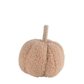 Pompoen Teddy
