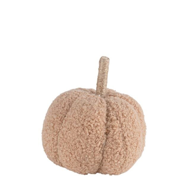 Pompoen Teddy