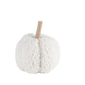 Pompoen Teddy