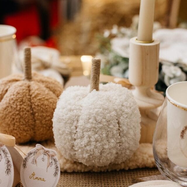 Pompoen Teddy