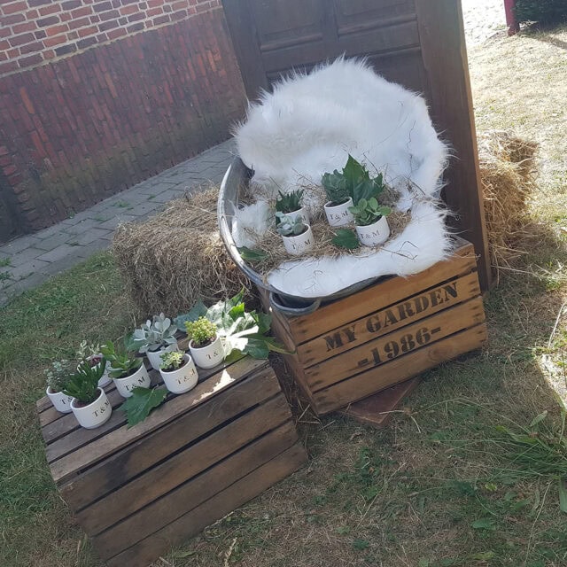 Schapenvacht